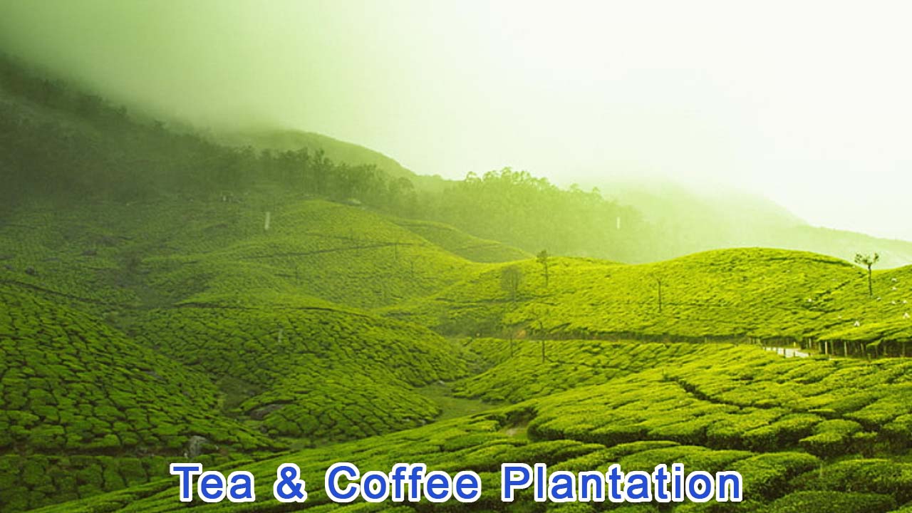 Munnar